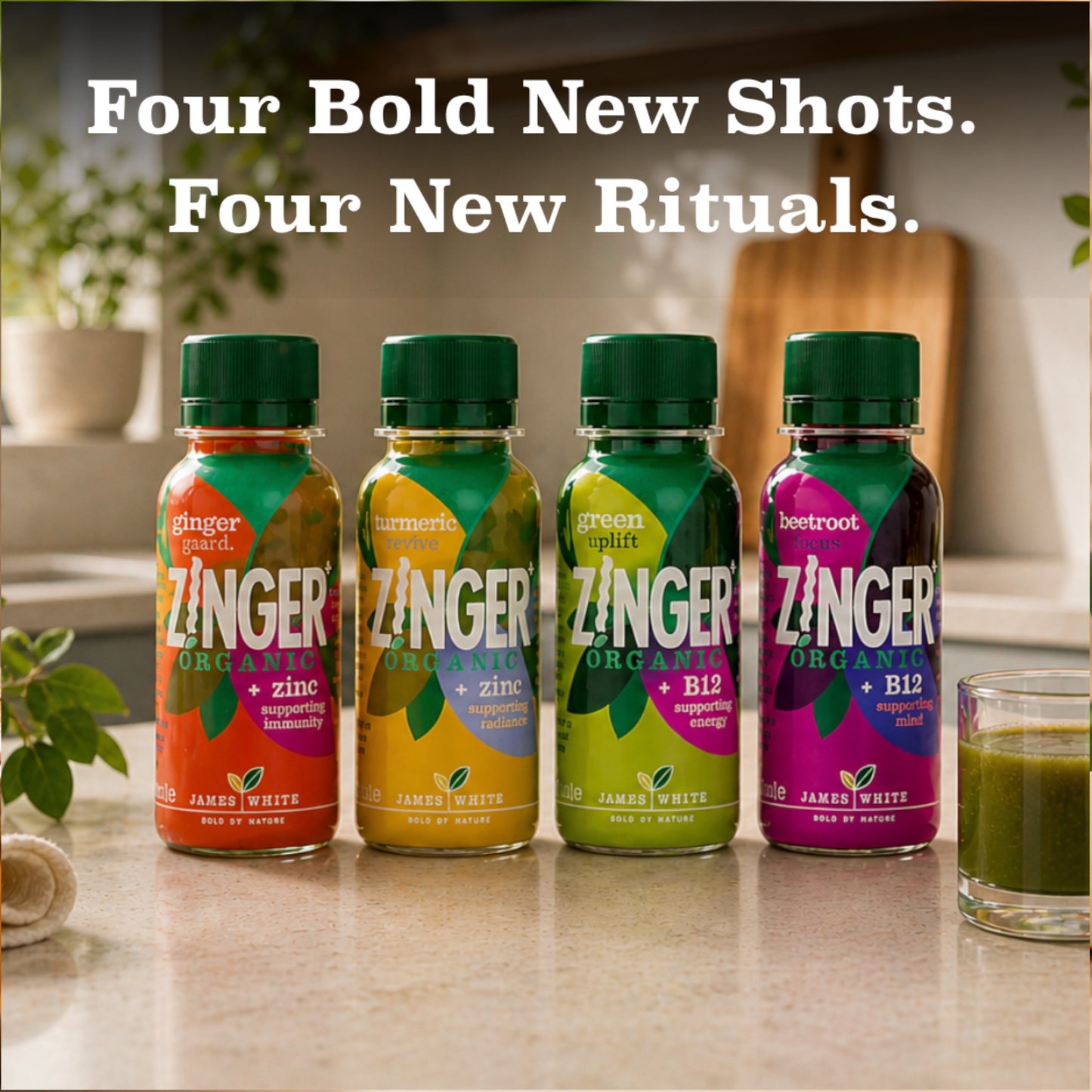 
                  
                    Zinger Organic Turmeric Revive Shot (12 x 70ml)
                  
                